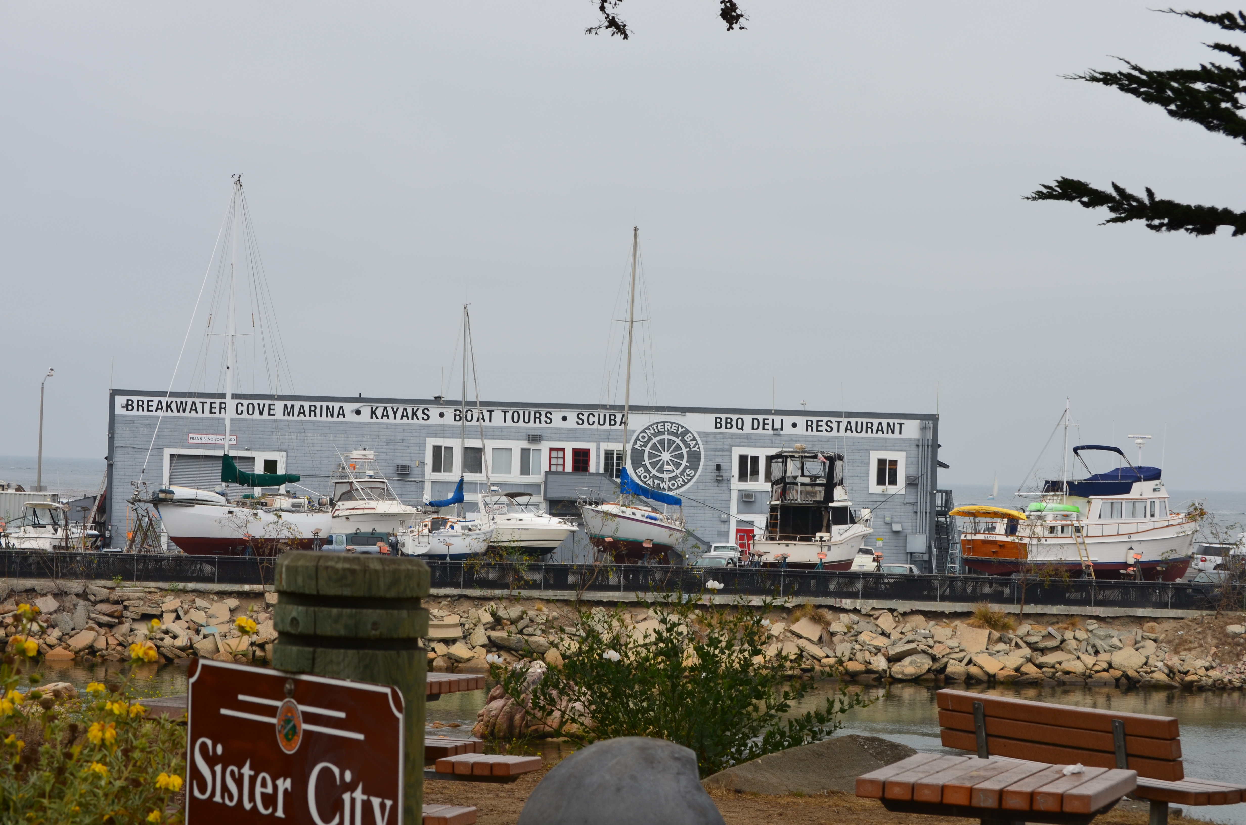 ./2018/09 - San Francisco/ASC_0891.JPG